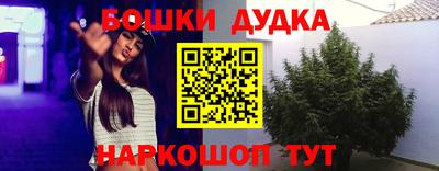 спиды Владимир