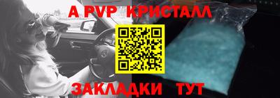 спиды Владимир