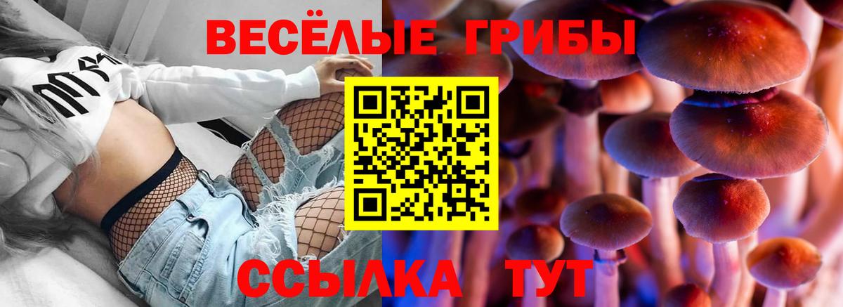 Галлюциногенные грибы Magic Shrooms Дмитров